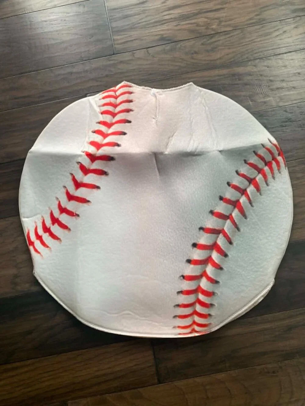 Baseball Costume
